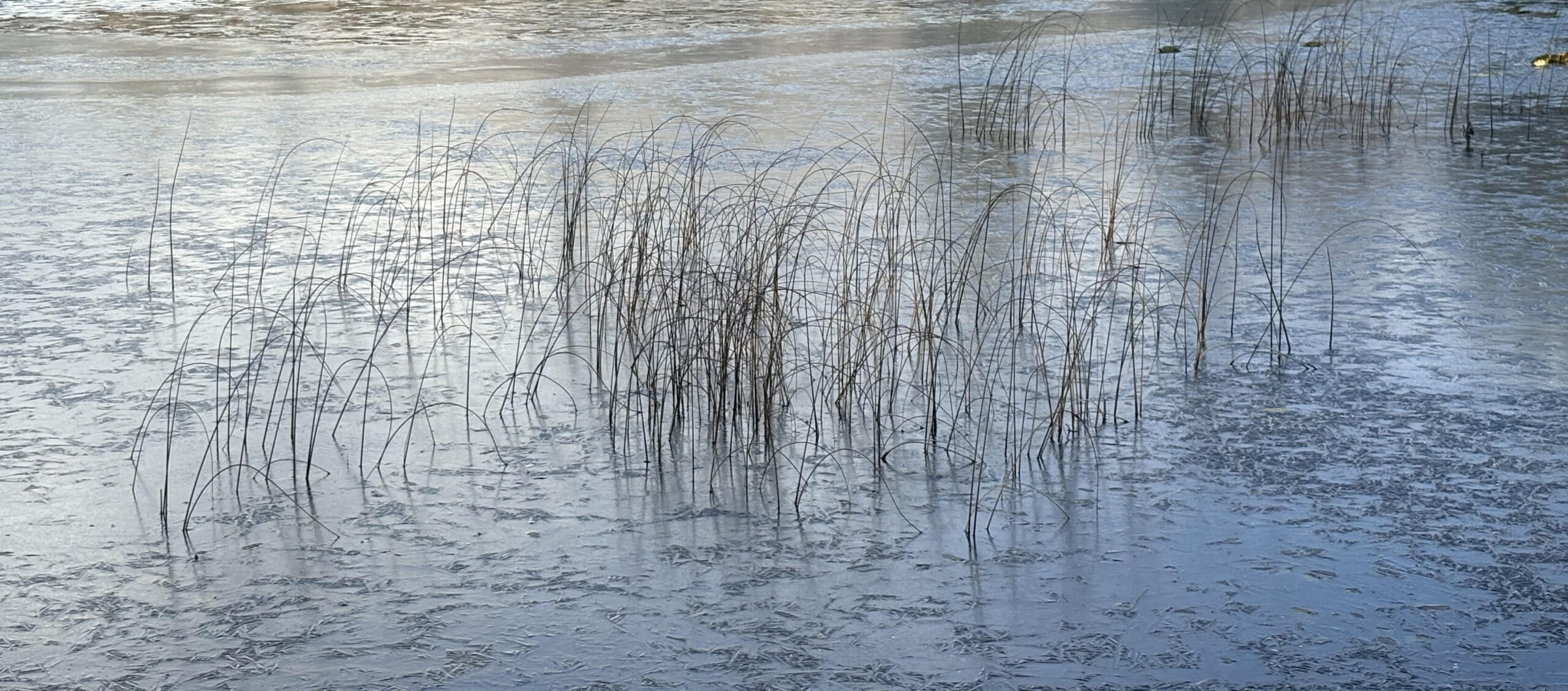 https://bulkleybrowser.ca/wp-content/uploads/2026/10/lake-scaled.jpg